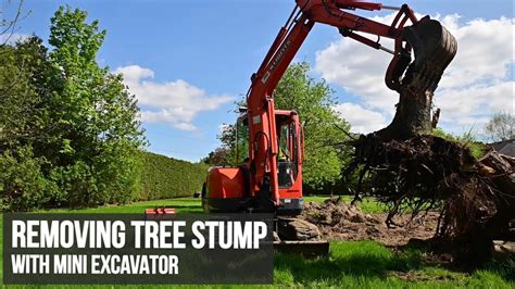 pulling bushes out with mini excavator|excavator and bucket tree removal.